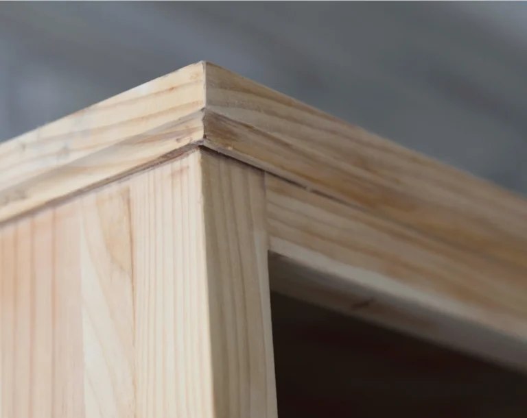 Proceso de restauración